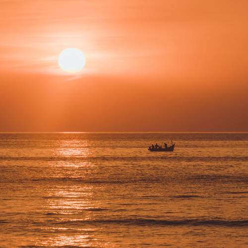 Photo #11868527