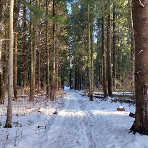 Photo #11868771