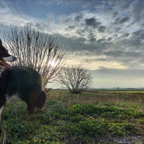 Photo #11868786