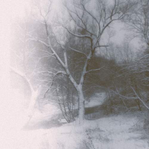 Photo #11868956