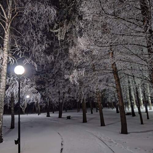 Photo #11868966
