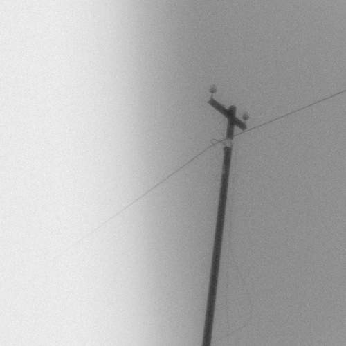 Photo #11868985