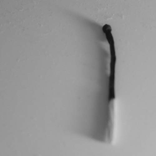 Photo #11868990