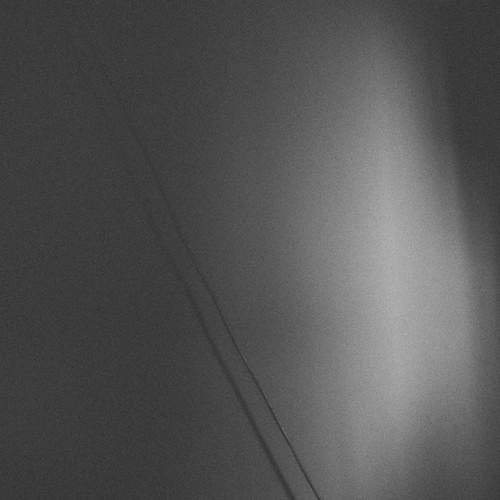 Photo #11868997