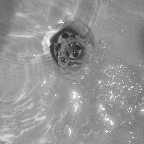 Photo #11869015