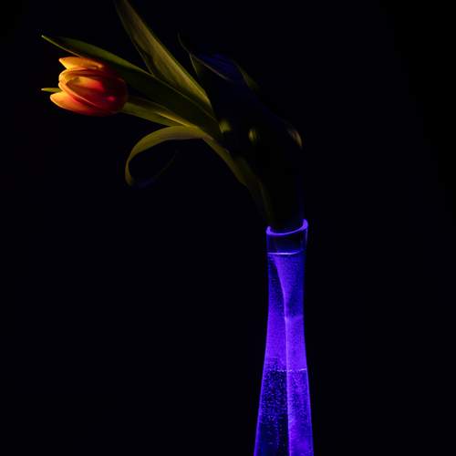 Photo #11869055