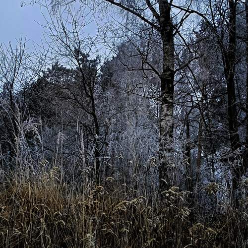 Photo #11869112