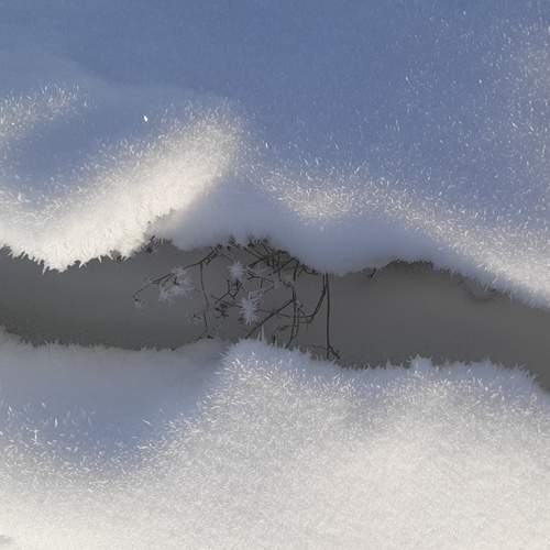 Photo #11869192