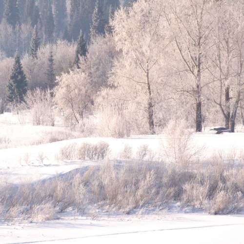 Photo #11869228