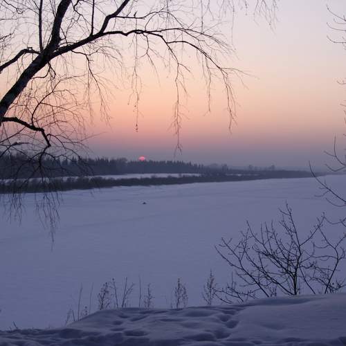 Photo #11869252