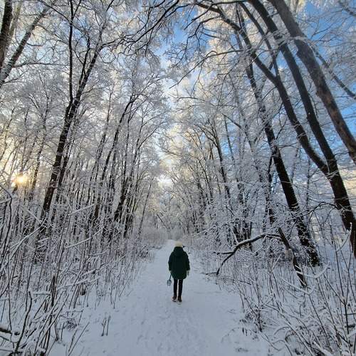 Photo #11869259