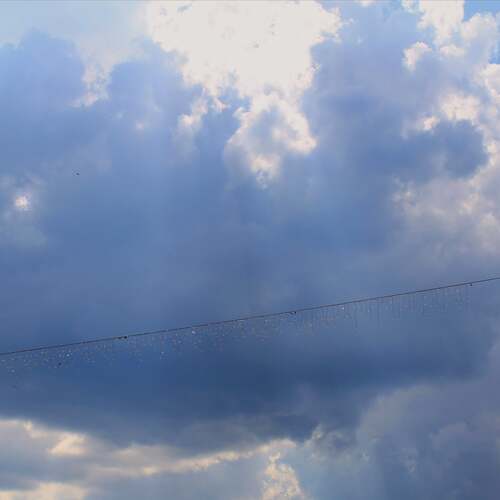 Photo #11869265