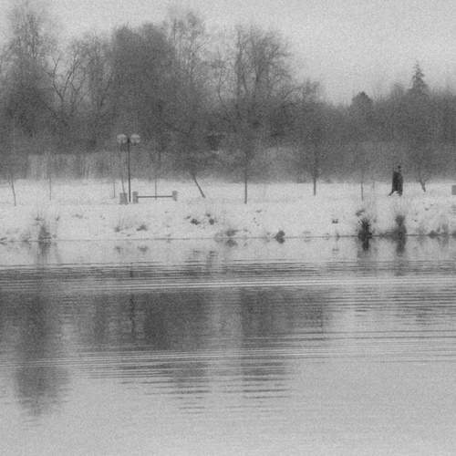 Photo #11869272