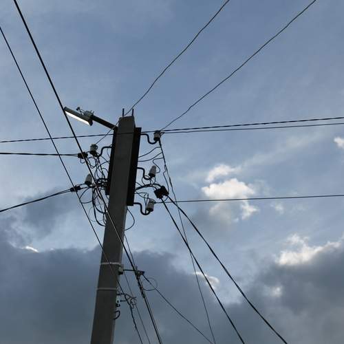 Photo #11869282