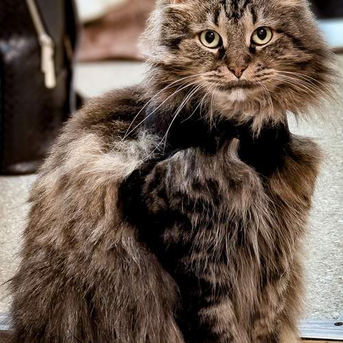 Photo #11869293