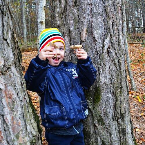 Photo #11869313