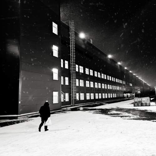 Photo #11869345