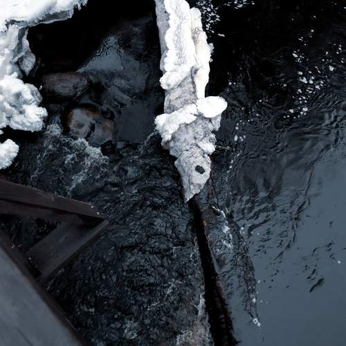 Photo #11869414