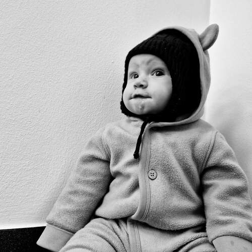 Photo #11869419