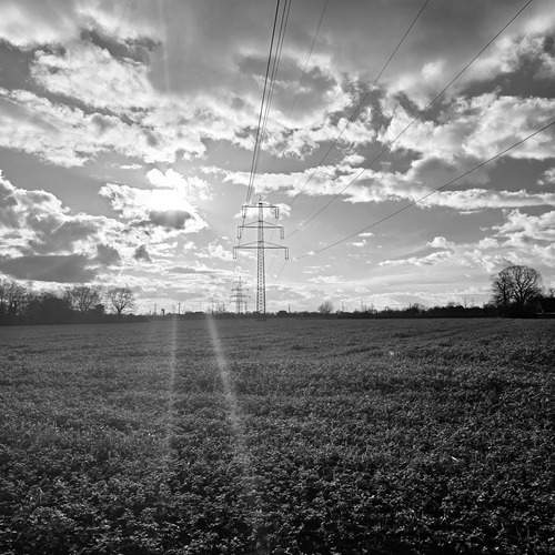 Photo #11869440