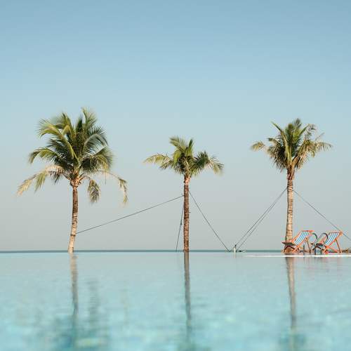 Photo #11869479