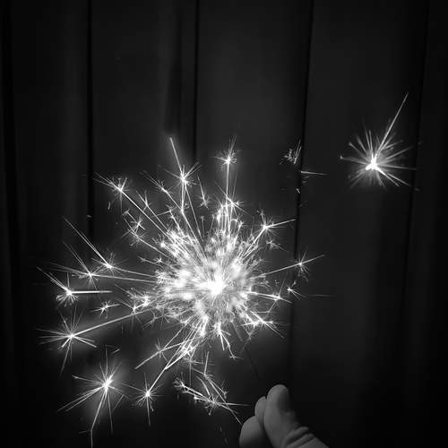Photo #11869481