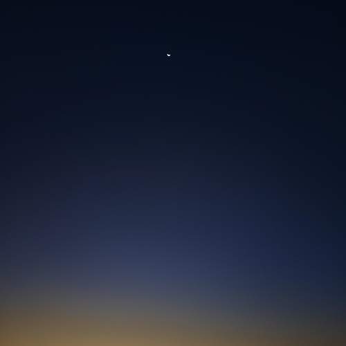 Photo #11870130
