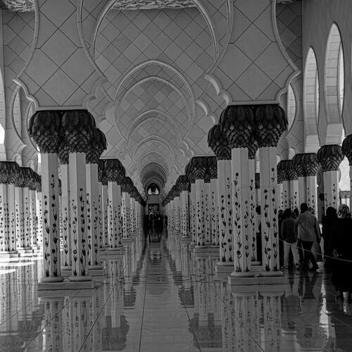 Photo #11870287