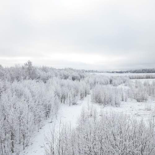 Photo #11870290