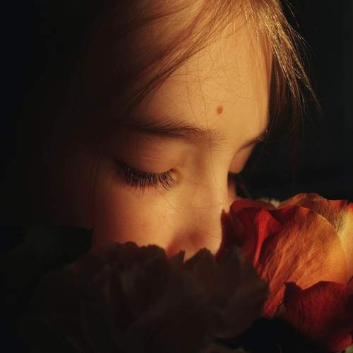 Photo #11870355