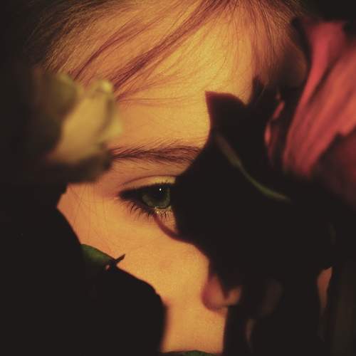 Photo #11870356