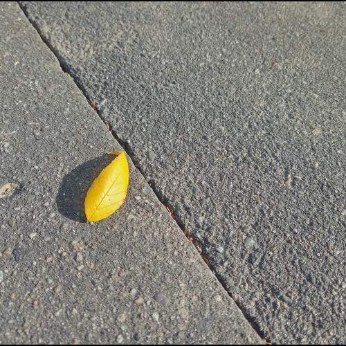 Фотография #11870368