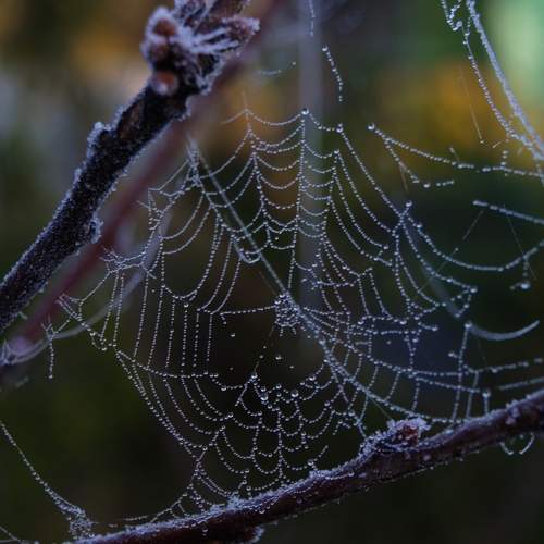 Photo #11870539