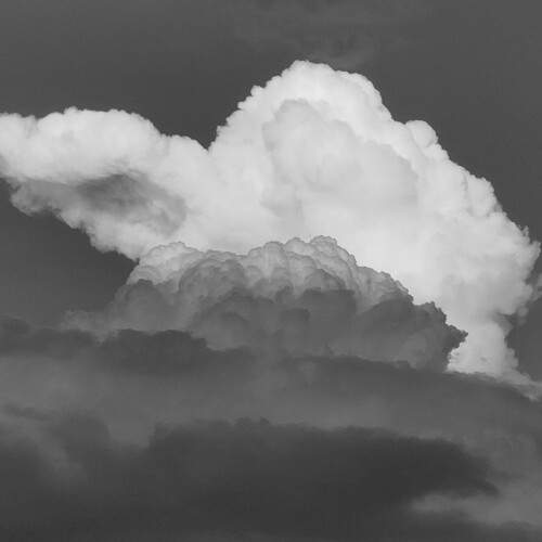 Photo #11870659