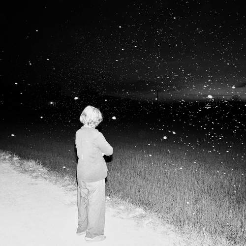 Photo #11870671