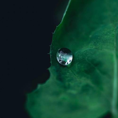 Photo #11870775