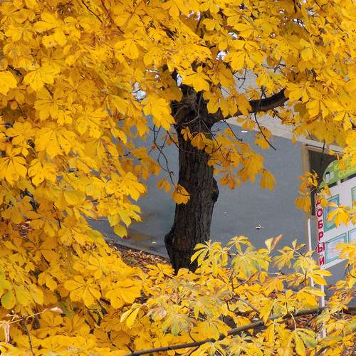 Photo #11870899