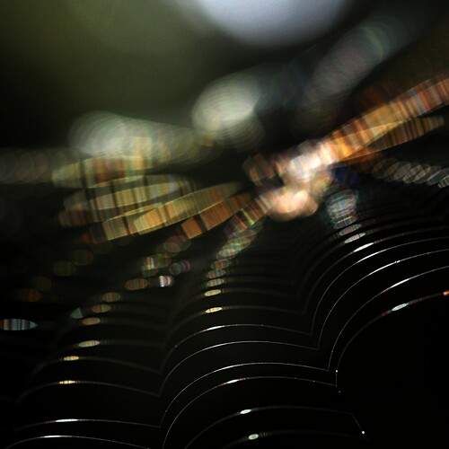 Photo #11870965