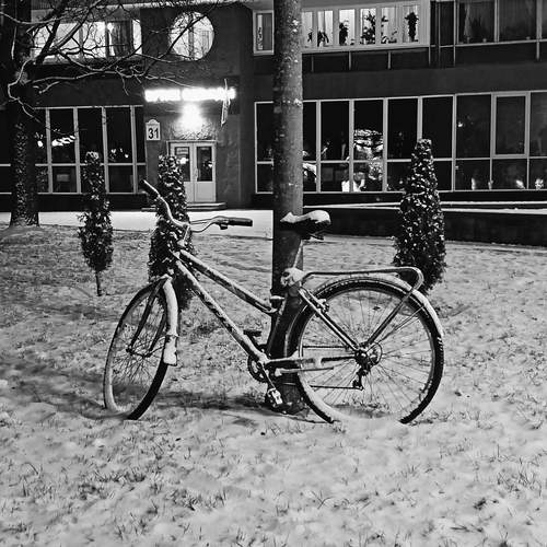 Photo #11871029