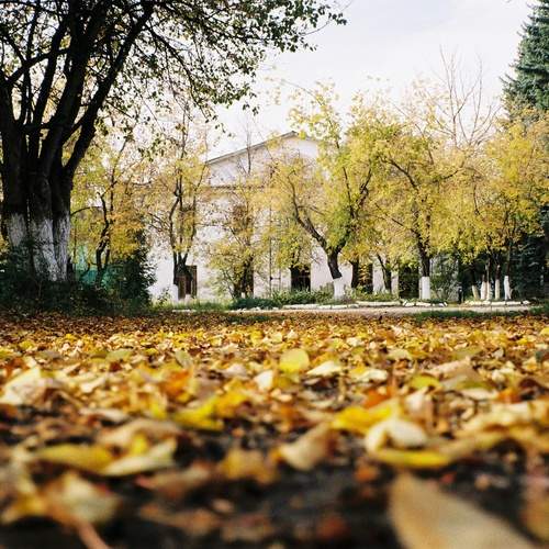 Photo #11871257
