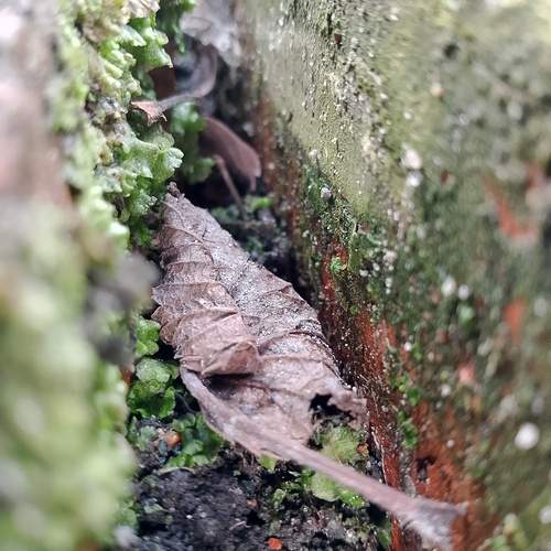 Photo #11871406