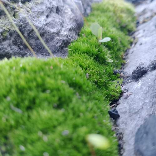 Photo #11871410