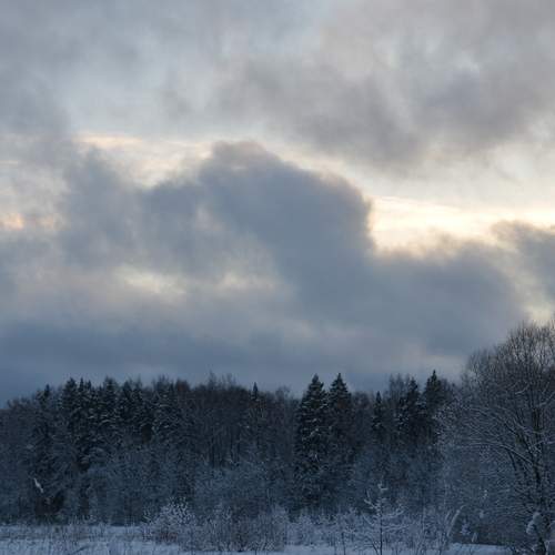 Photo #11871459