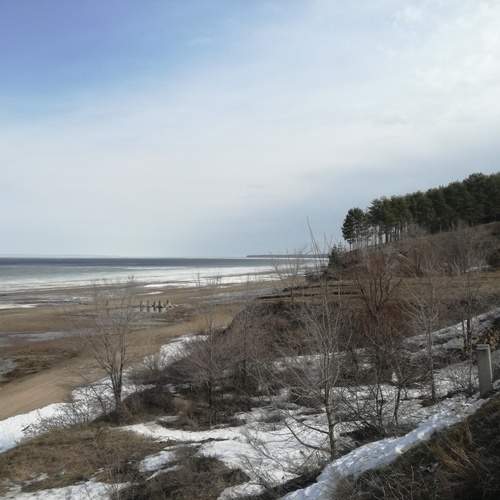 Photo #11871593