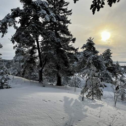 Photo #11871834