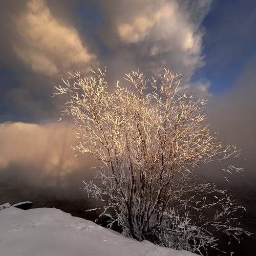 Photo #11871978