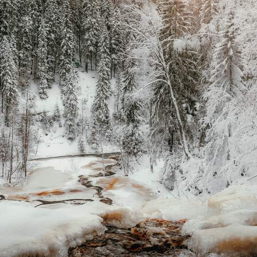 Photo #11872298