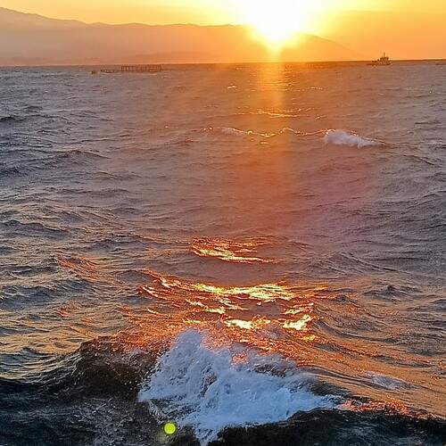 Photo #11872384