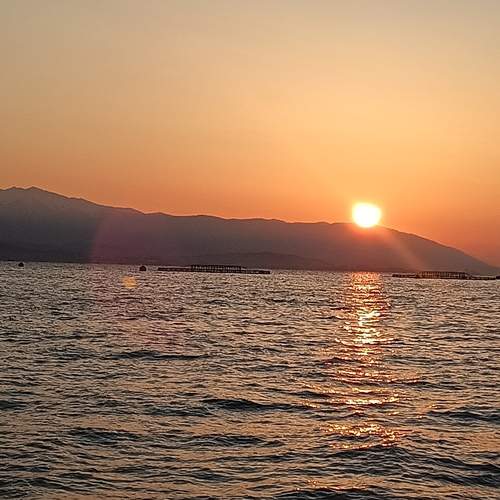 Photo #11872388