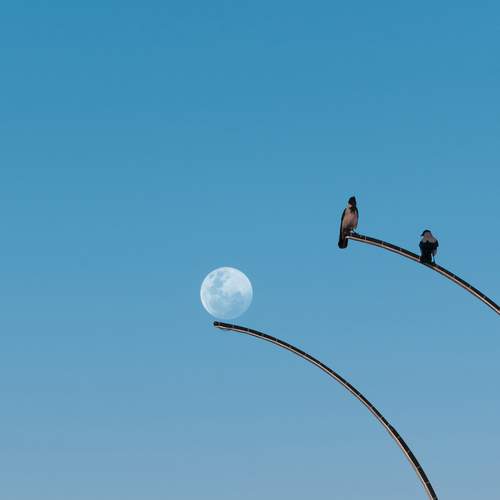 Photo #11872646